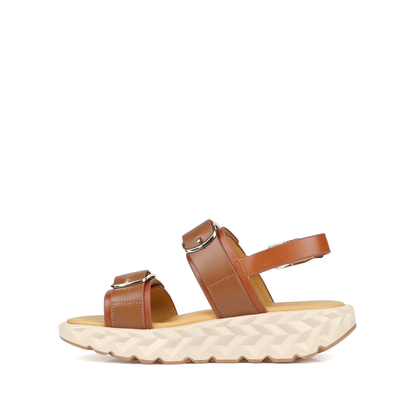 JABARA SANDY BROWN